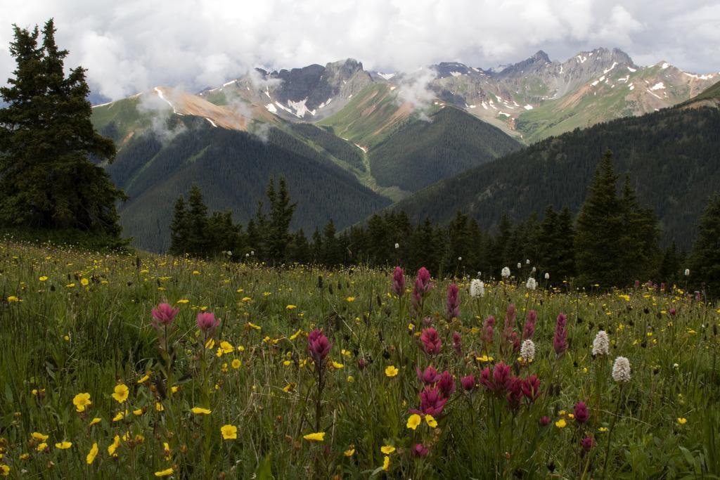 Ouray Chalet Inn ภายนอก รูปภาพ